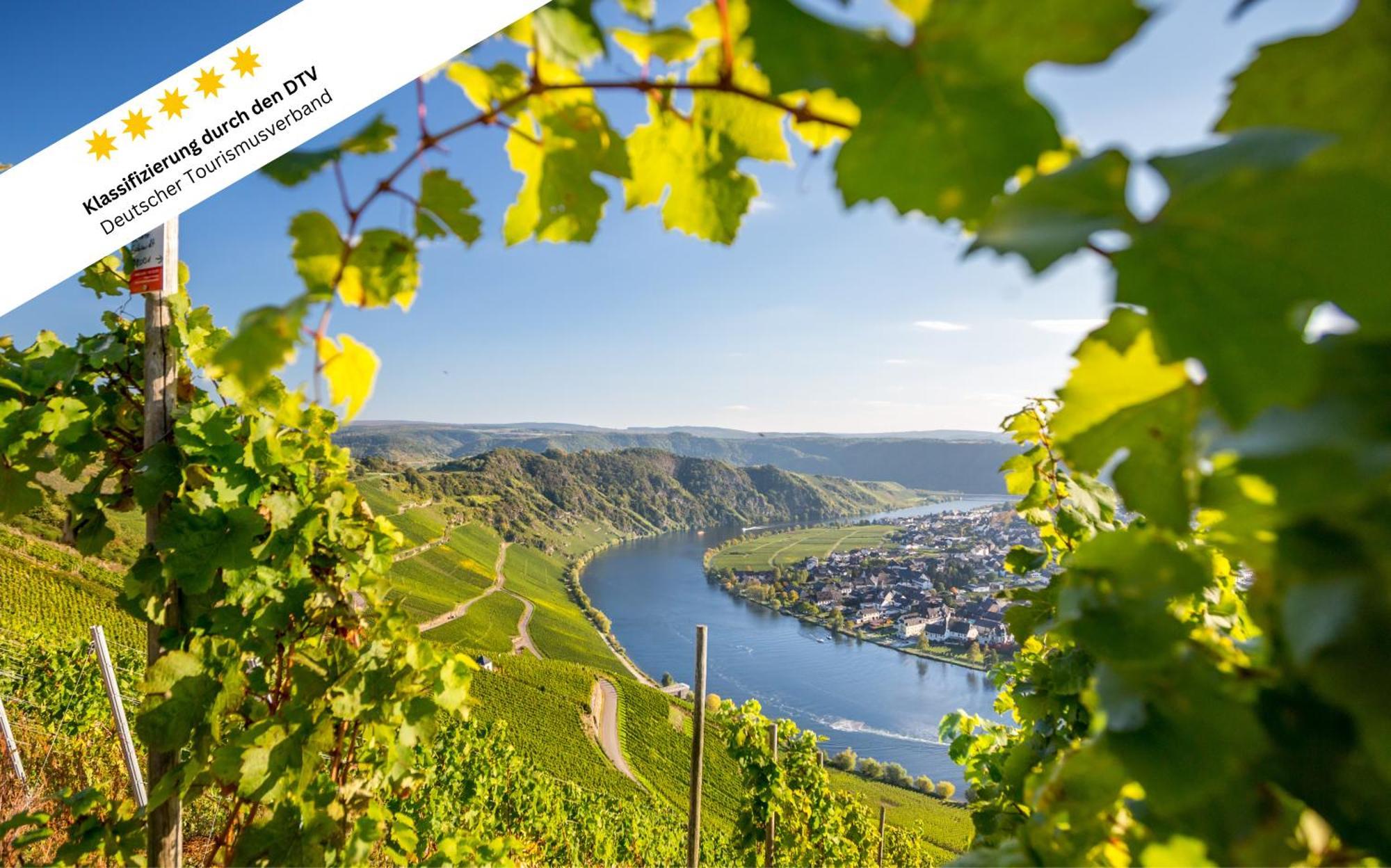Wohlfuehloase An Der Mosel Osann-Monzel Exterior foto